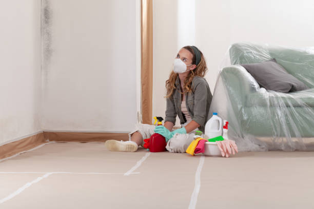 Reliable Basement Mold Remediation contractor in Traverse City, MI by Mold Remediation HQ